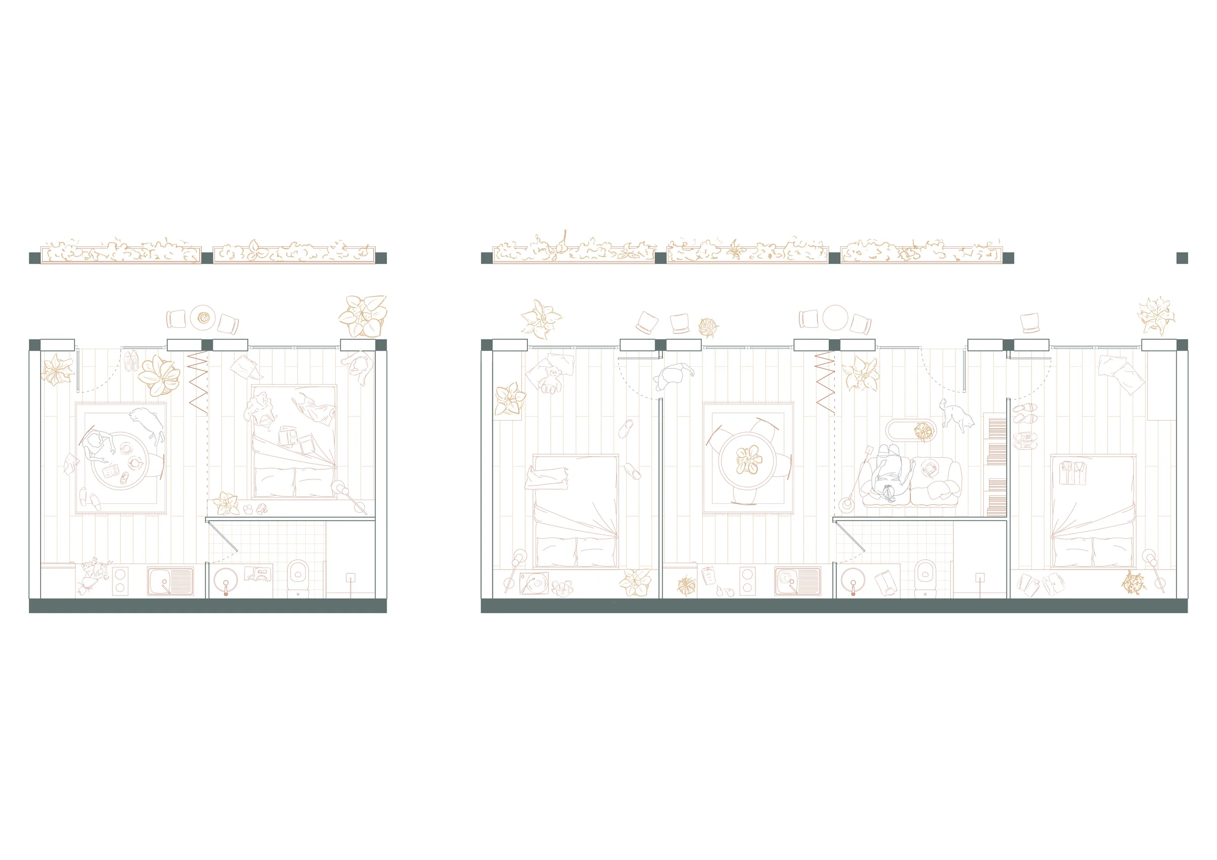 Typologie 1 & 3 : Plan — 1:50