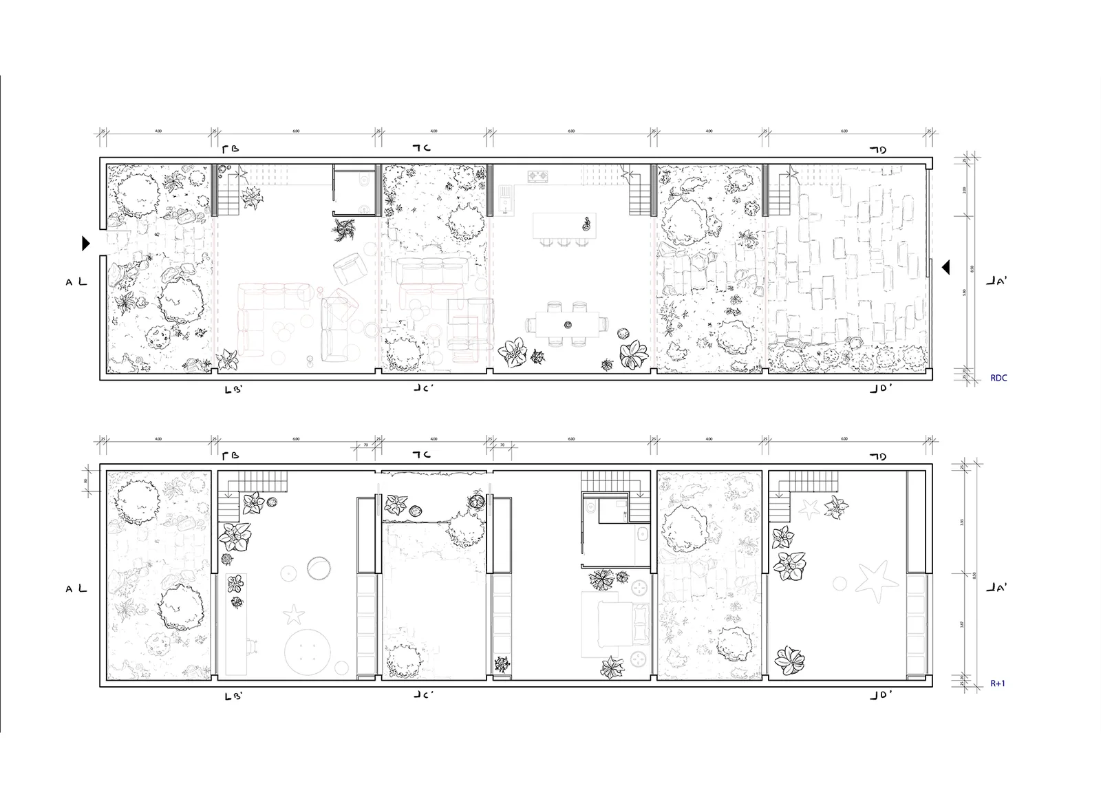 Plans — 1:50