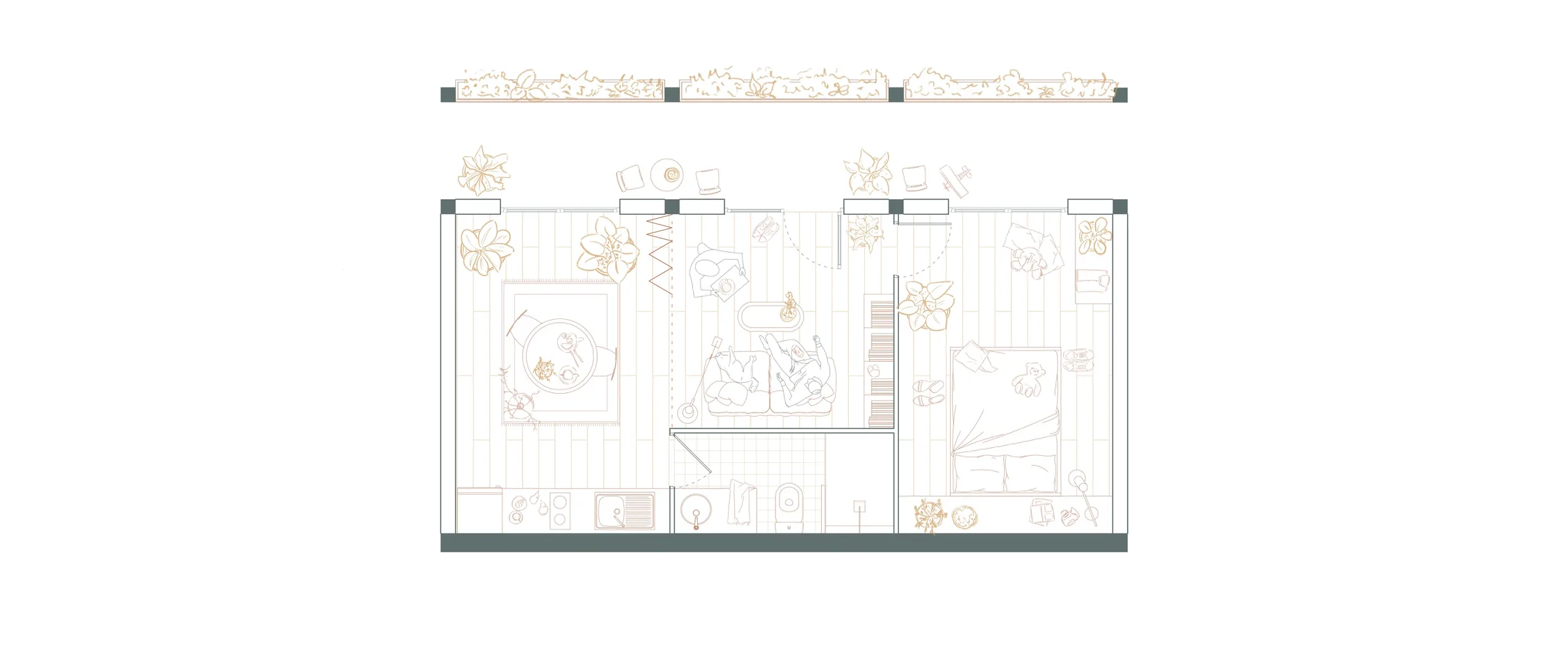 Typologie 2 : Plan — 1:50