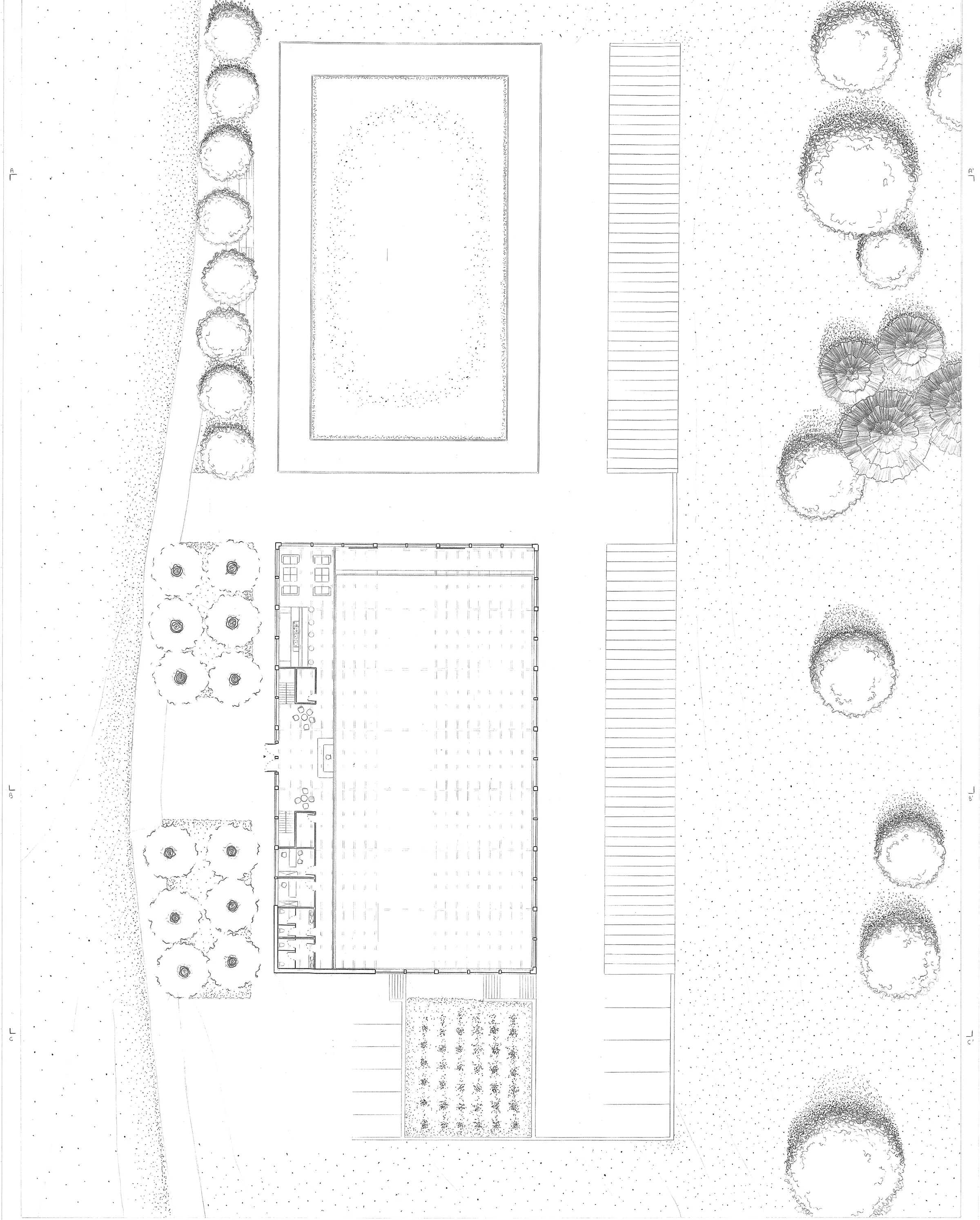 Plan R+1 du centre équestre — 1:200