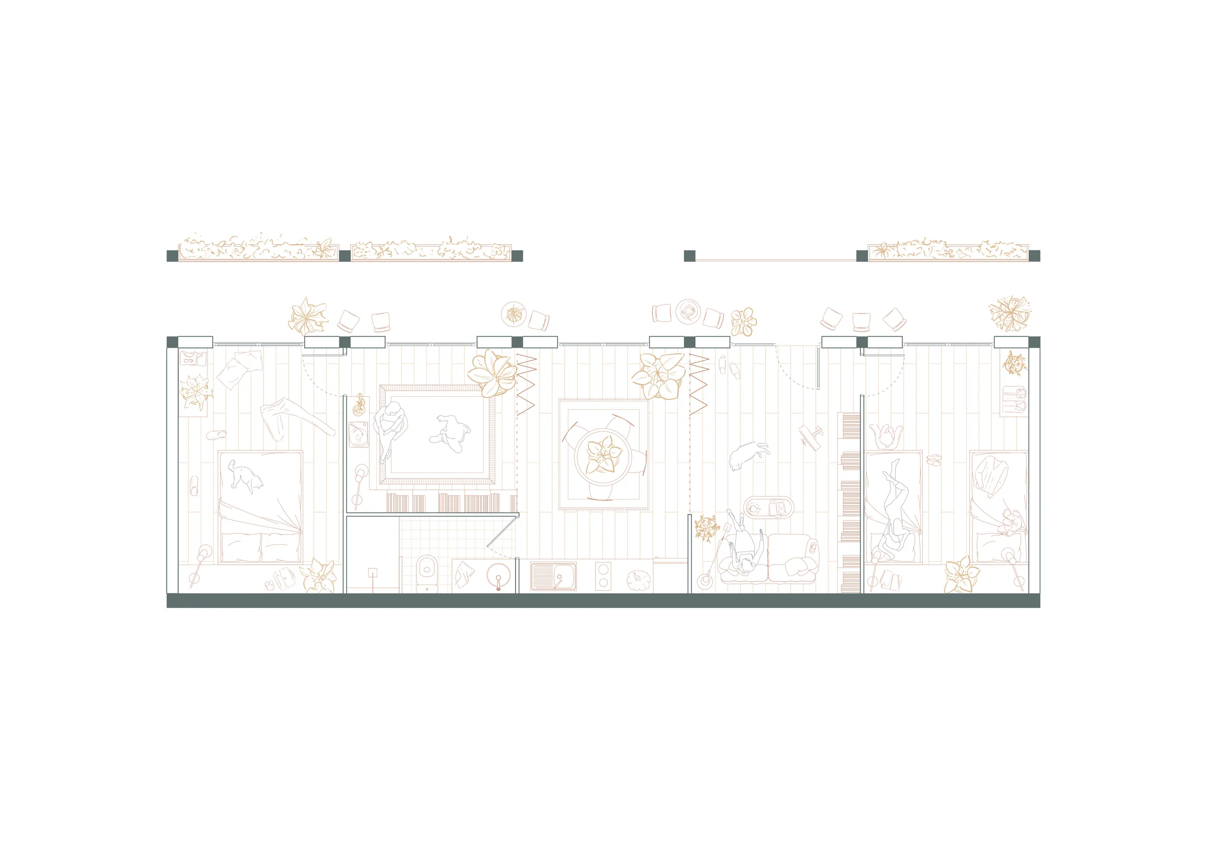 Typologie 4 : Plan — 1:50